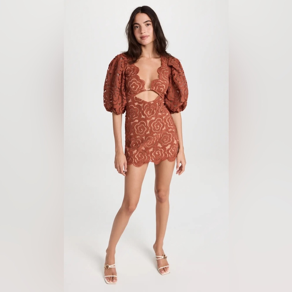 For Love And Lemons Floral Lace Mini Dress in Brown